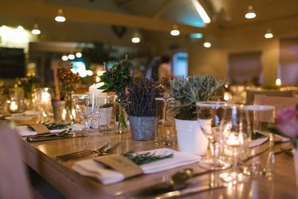 Pots of Herbs on Wedding Table