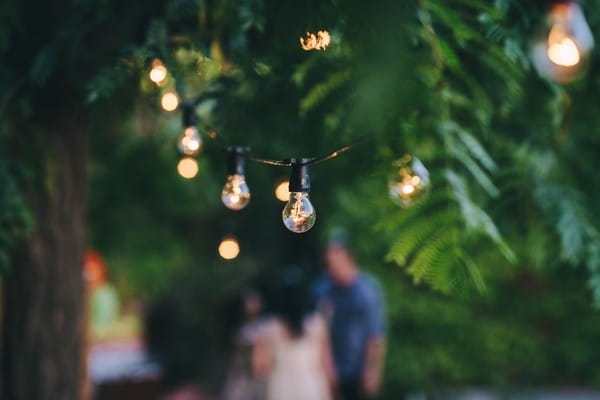 Lighting hanging from tree