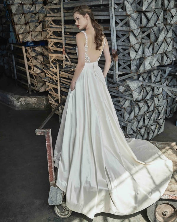 Back of Gardenia wedding dress from the Elbeth Gillis Mystique 2018 collection
