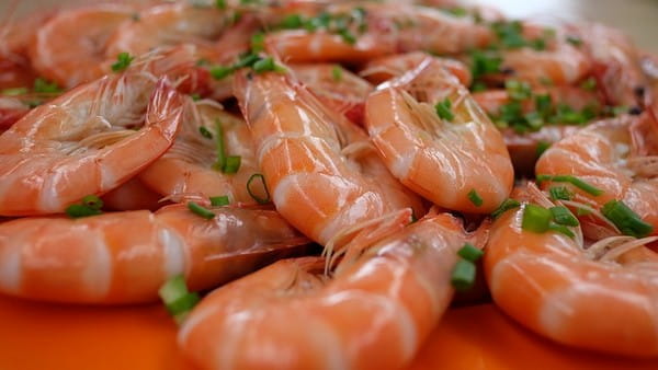 Prawns