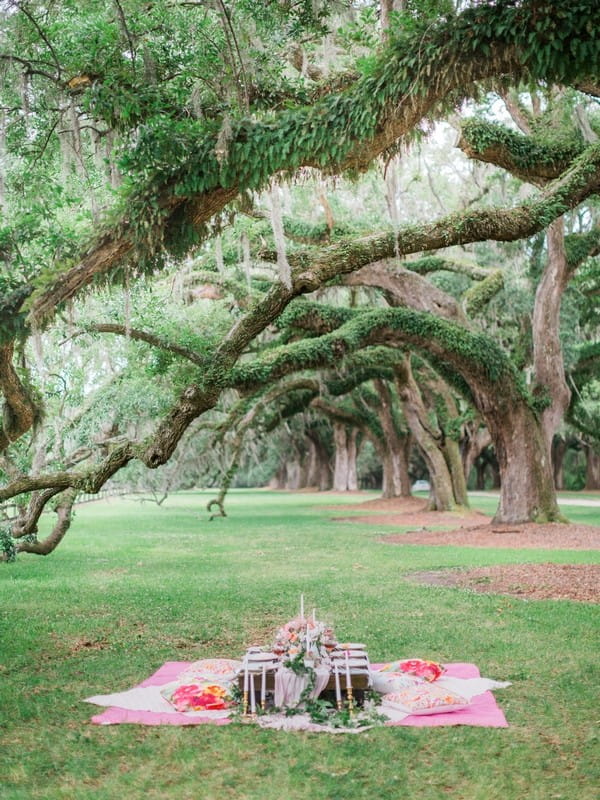 Picnic blanket and table under oak tree