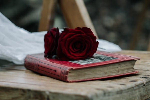 Roses on book