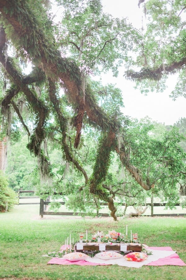 Branch of oak tree over picnic setting