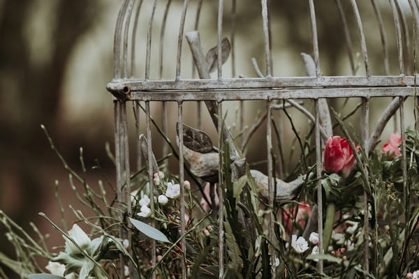 Bird figures in cage