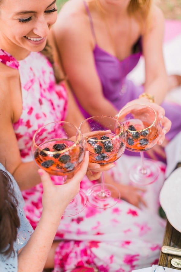 Girls toasting at hen party