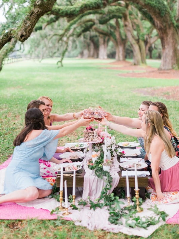 Girls on hen party picnic raising a toast