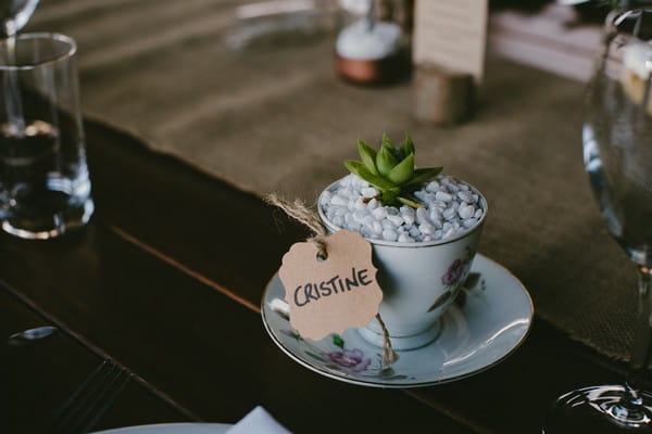 Teacup with succulent in it