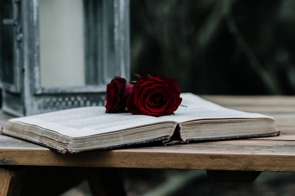 Roses on open book