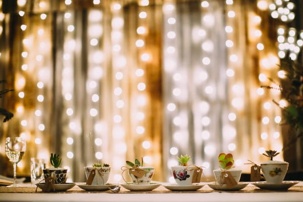 Row of teacups