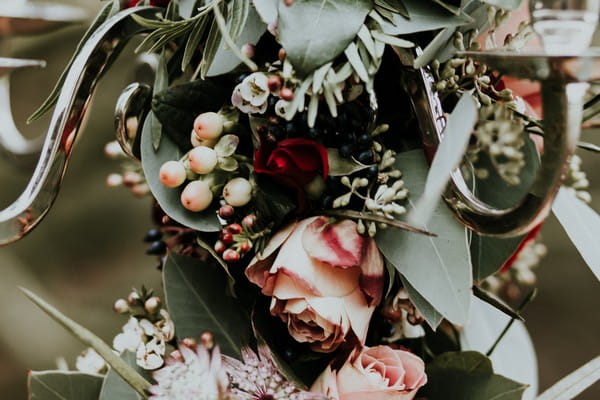 Roses and foliage