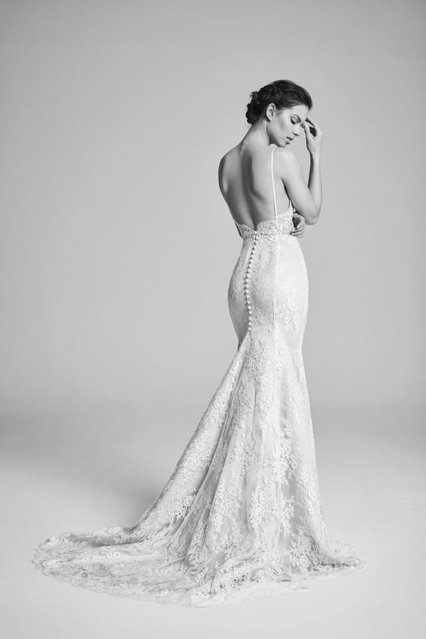 Back of Beaux Wedding Dress from the Suzanne Neville Belle Epoque 2018 Collection