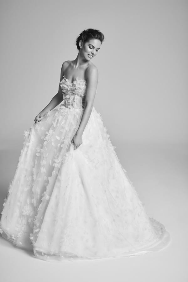 Posey Wedding Dress from the Suzanne Neville Belle Epoque 2018 Collection