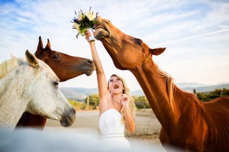 Horse eating bride's bouquet - Picture by Fabio Mirulla Photographer