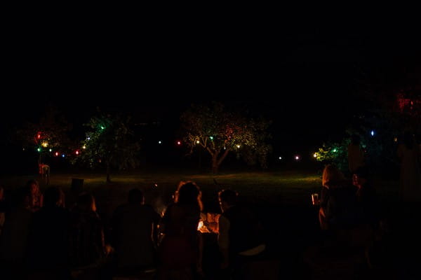 Tree lights in trees at festival wedding at night