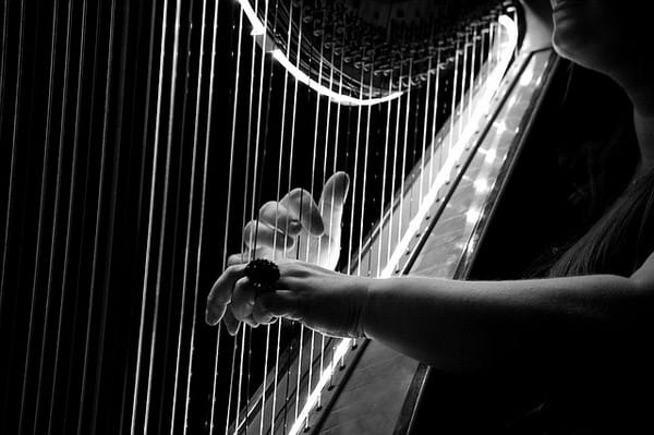 Closeup of Strings on a Harp