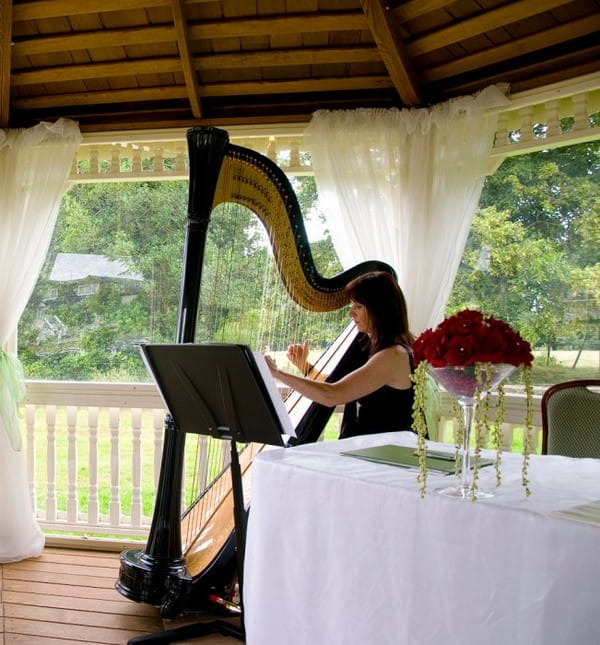 Woman playing beautiful harp at wedding