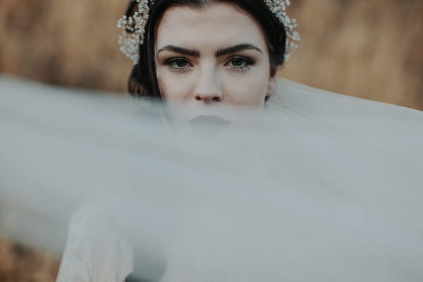 Bride's veil across her face