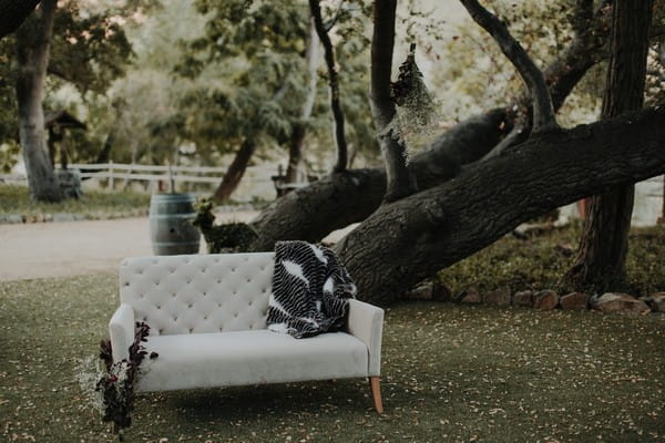 Couch under tree