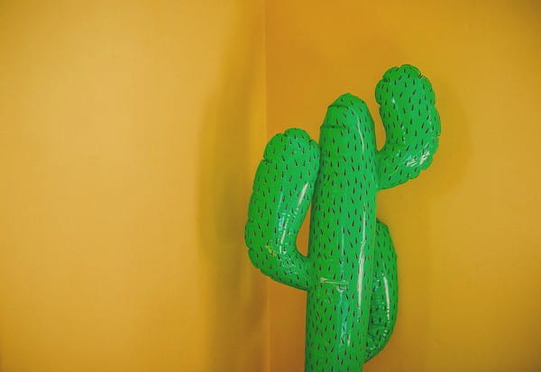 Inflatable cactus