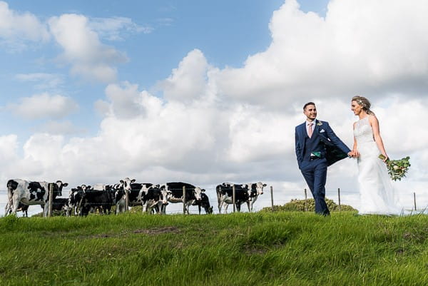 Bride and groom in field with cows