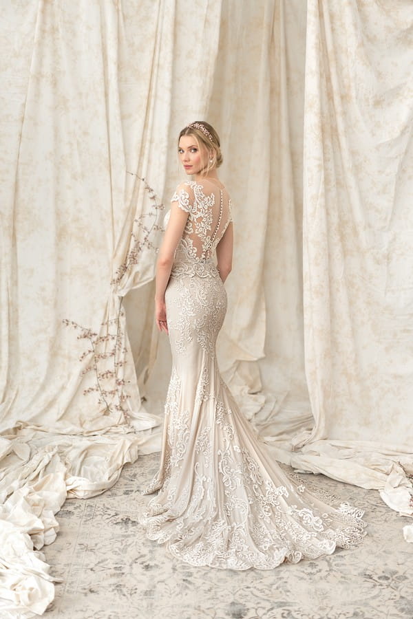 Back of 9899 Wedding Dress from the Justin Alexander Signature Spring/Summer 2018 Bridal Collection
