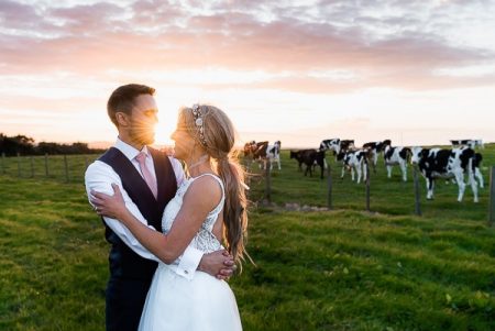 Bride and groom in a field with cows in background