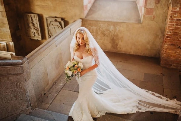 Bride walking up stone steps - Picture by Frances Sales Photography