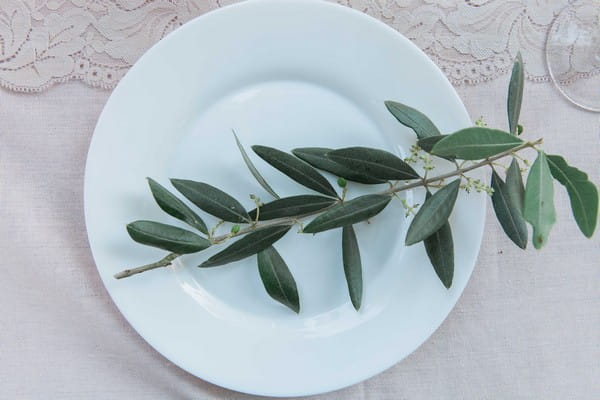 Olive branch on plate