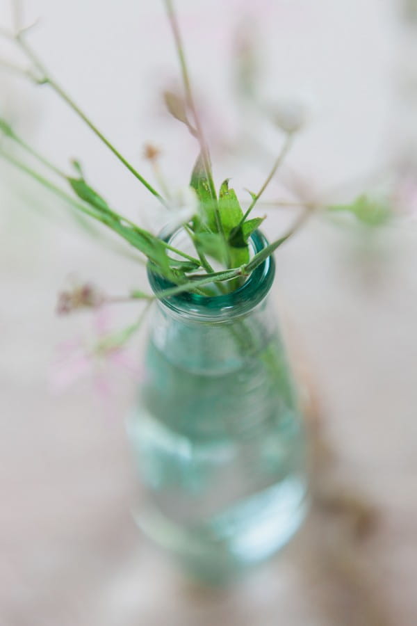 Small vase of greenery