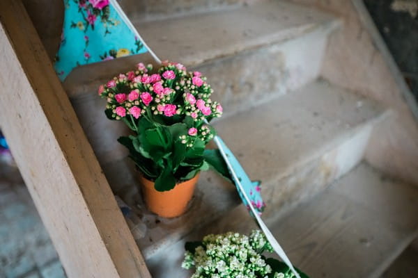 Pot Plants on Steps at Wedding