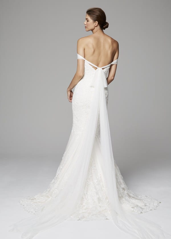 Back of Raven Wedding Dress from the Anne Barge Fall 2018 Bridal Collection