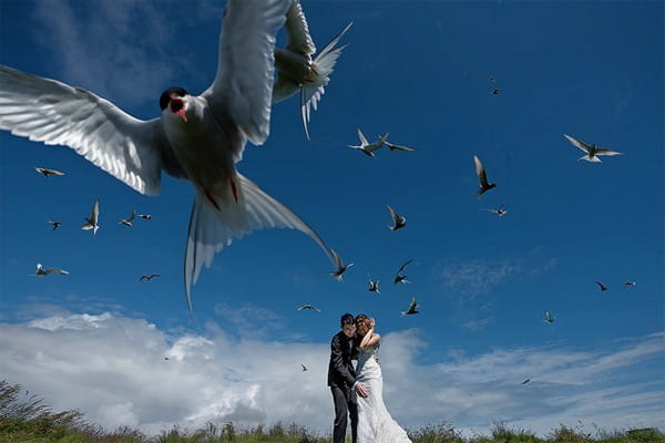 Bride and groom sheltering from birds flying overhead - Picture by 2 of Us Photography