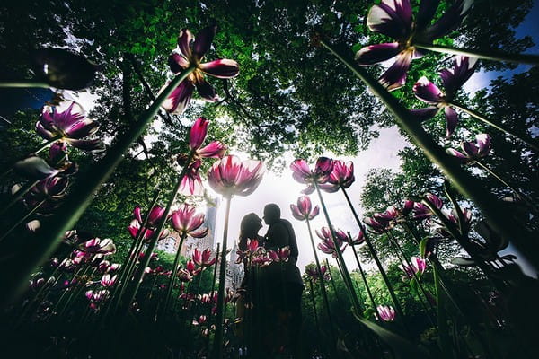 Silhouette of bride and groom behind tall pink flowers and trees - Picture by Emin Kuliyev