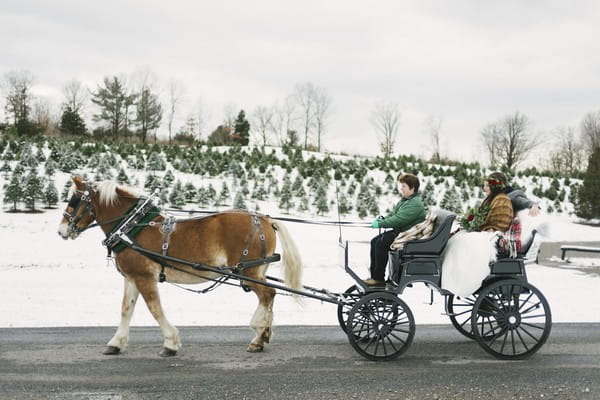 Bride riding in horse and cart