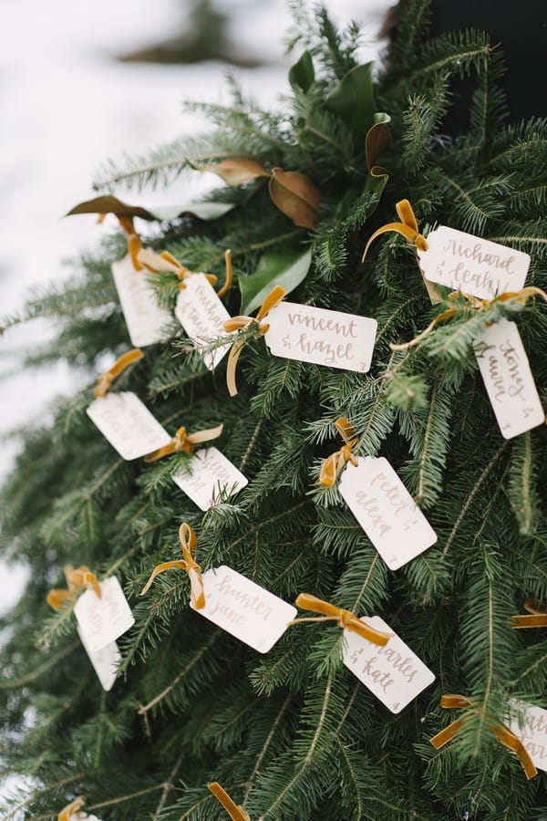 Escort cards attached to Christmas tree branches