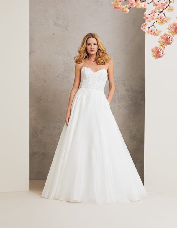 Carousel Wedding Dress from the Caroline Castigliano Celebrating Romance 2018 Bridal Collection