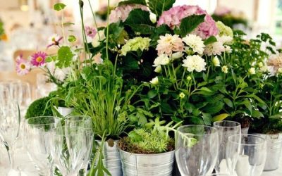 Eco-Friendly Wedding Flowers