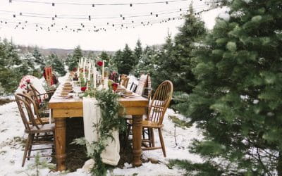 Winter Wedding Styling on a Christmas Tree Farm