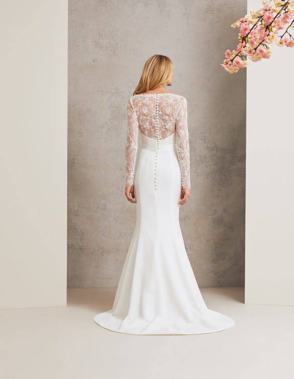 Back of Natalya Wedding Dress from the Caroline Castigliano Celebrating Romance 2018 Bridal Collection