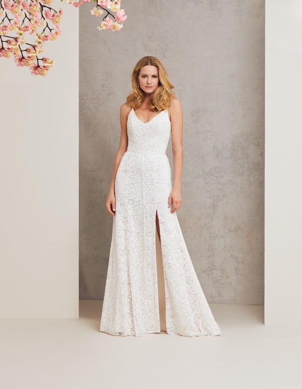 Ursula Wedding Dress from the Caroline Castigliano Celebrating Romance 2018 Bridal Collection