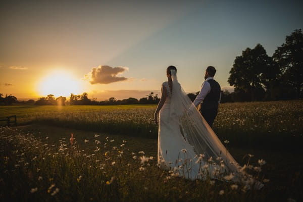 Bride and groom walking across field towards sunset - Picture by Alex Toze