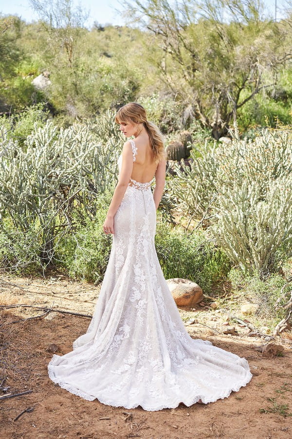 Back of 6505 Wedding Dress from the Lillian West Spring/Summer 2018 Bridal Collection