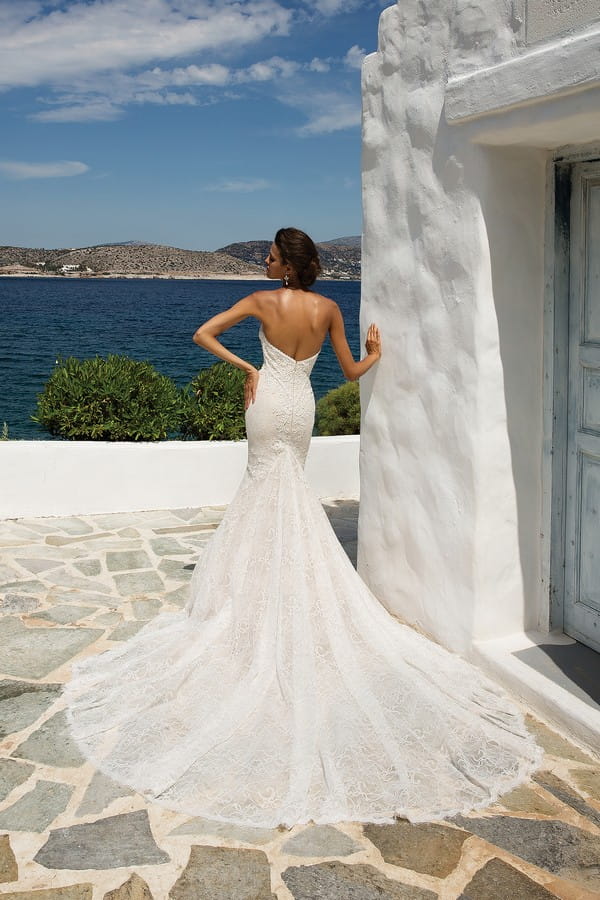 Back of 8967 Wedding Dress from the Justin Alexander Spring/Summer 2018 Bridal Collection