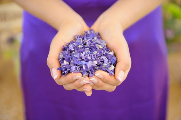 Hands Holding Amethyst Confetti Petals