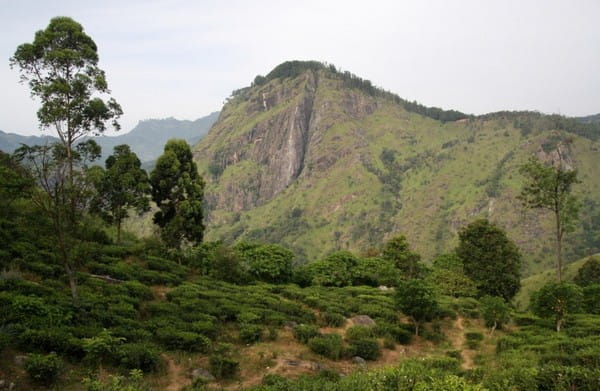 Ella Rock, Sri Lanka