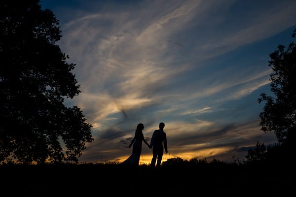 Silhouette of bride and groom between trees with dark coloured sky - Picture by Joss Denham Photography
