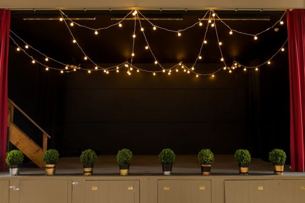 Festoon Lighting