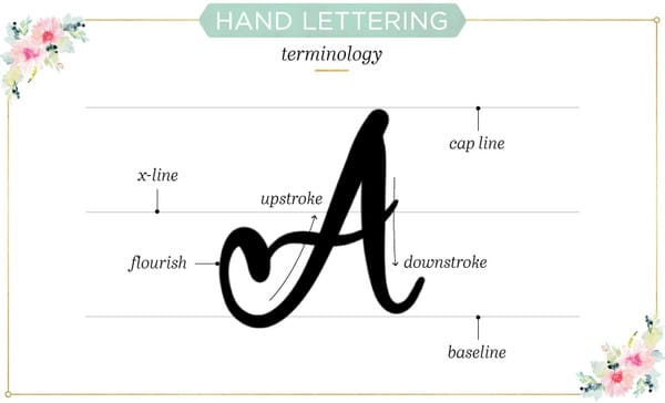 Hand Lettering Terminology