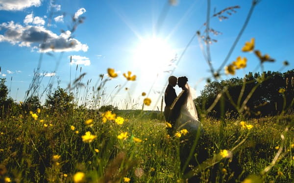 Bride and groom touching heads in field of yellow flowers with sun shining behind them - Picture by Lisa Carpenter Photography