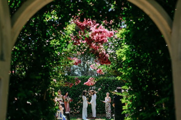 Wedding ceremony in gardens of Merribee